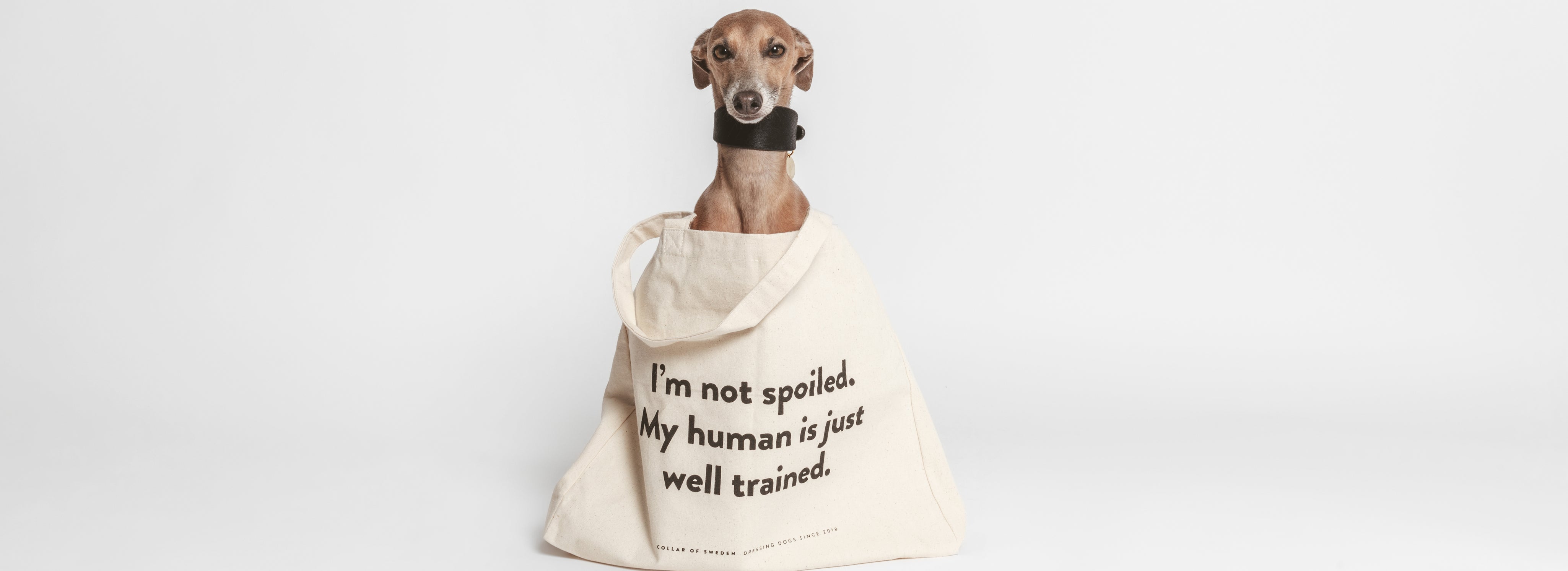 Bag Collection