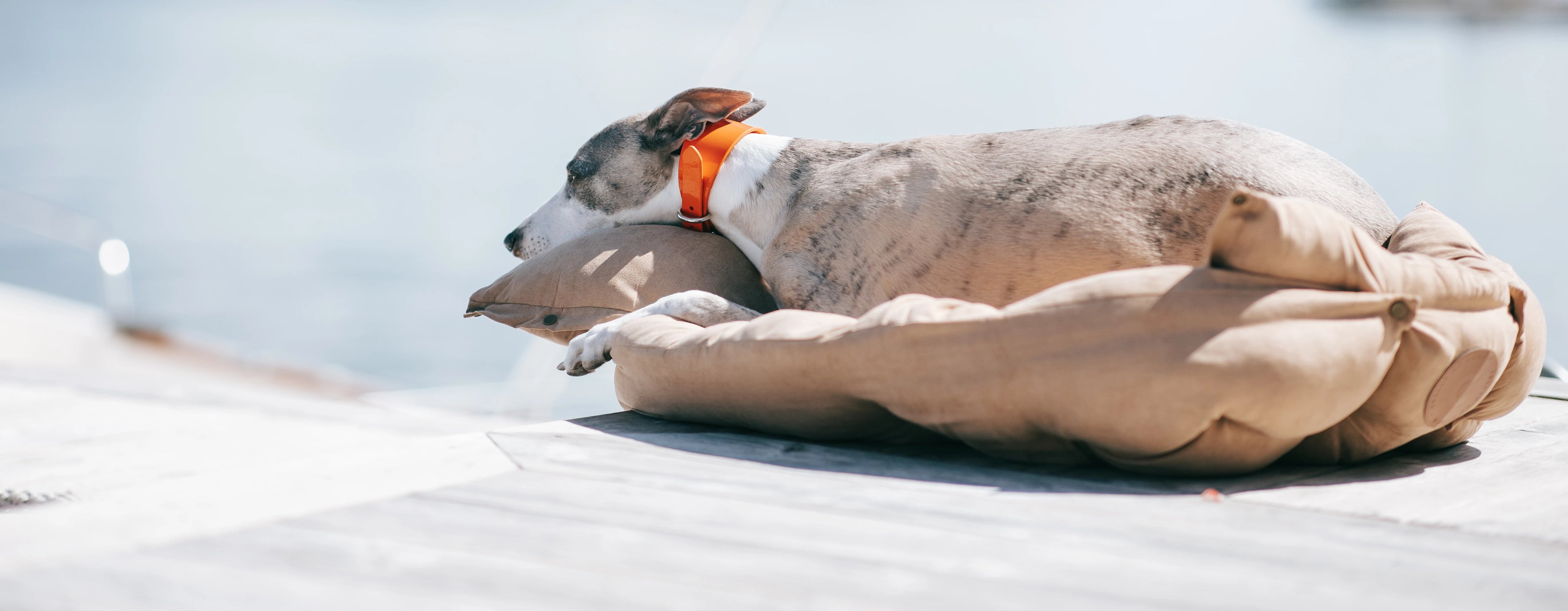 Multifunction Dog Beds