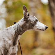 Collier pour chien à carreaux beige large

