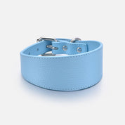 Collier pour chien large Baby Blue