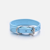 Collier pour chien Baby Blue Thin