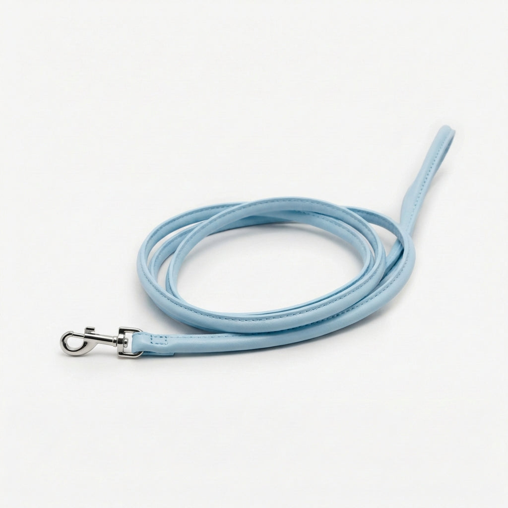 baby-blue-dog-lead-small-silver.jpg