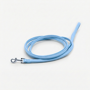 Laisse pour chien bleu ciel pour chiot