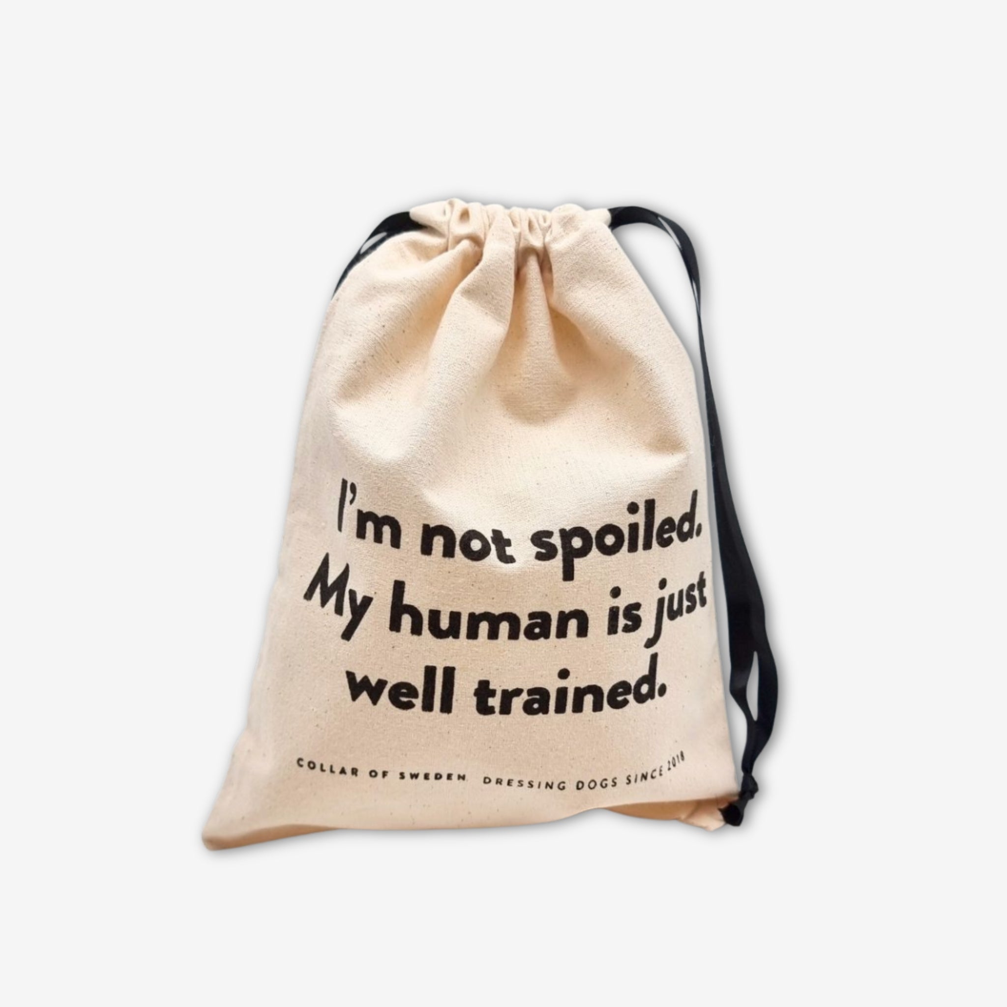 Sac à poussière - Small