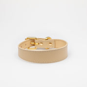 Collier de chien beige fin 
