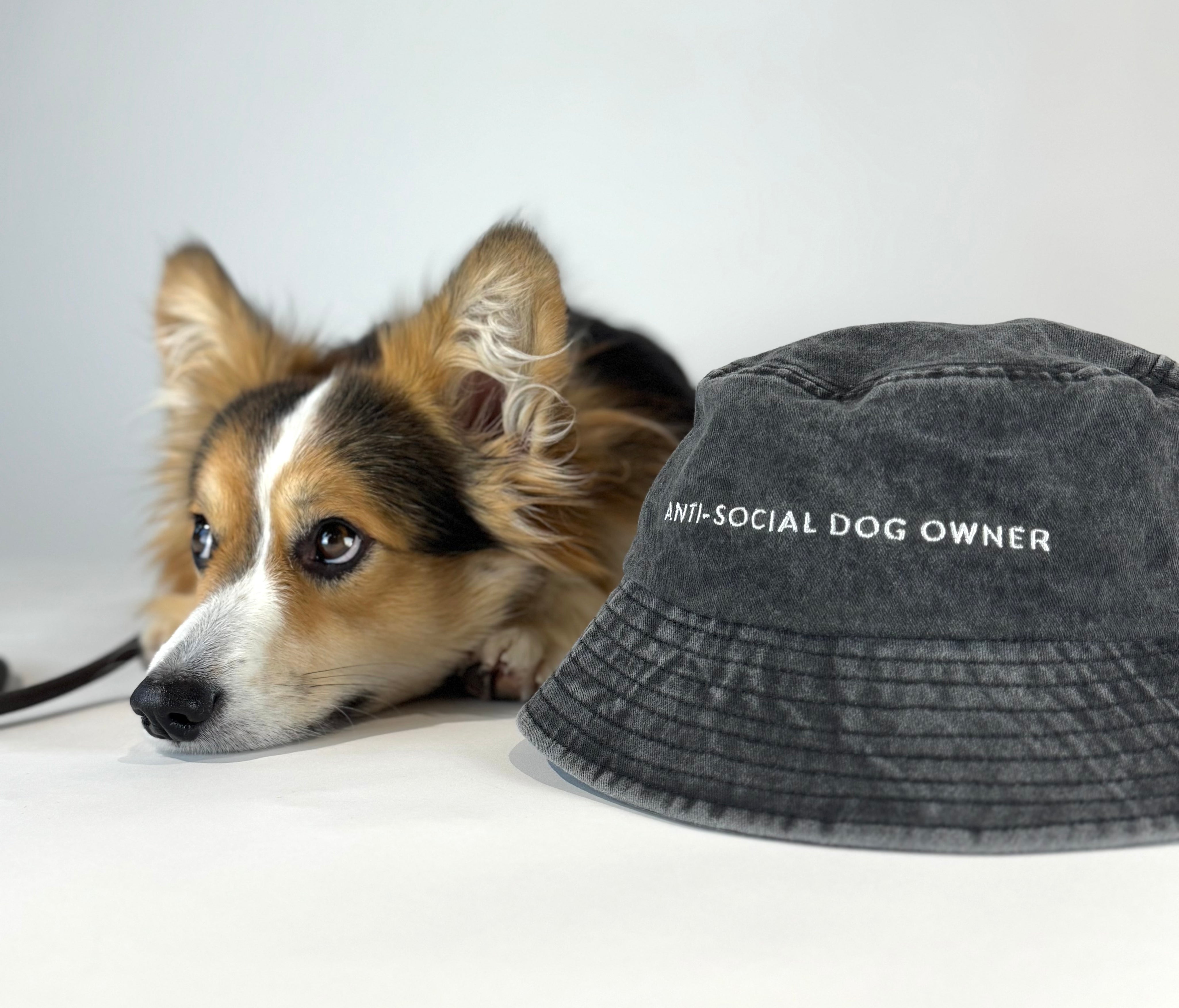 Chapeau Bucket en denim noir - Anti-Social Dog Owner