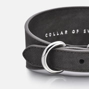 Collier pour chien en denim noir large
