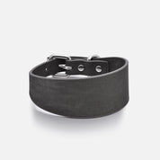 Collier pour chien en denim noir large