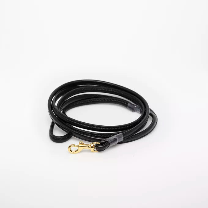 Laisse pour chien noir