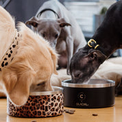 Bol pour chien noir