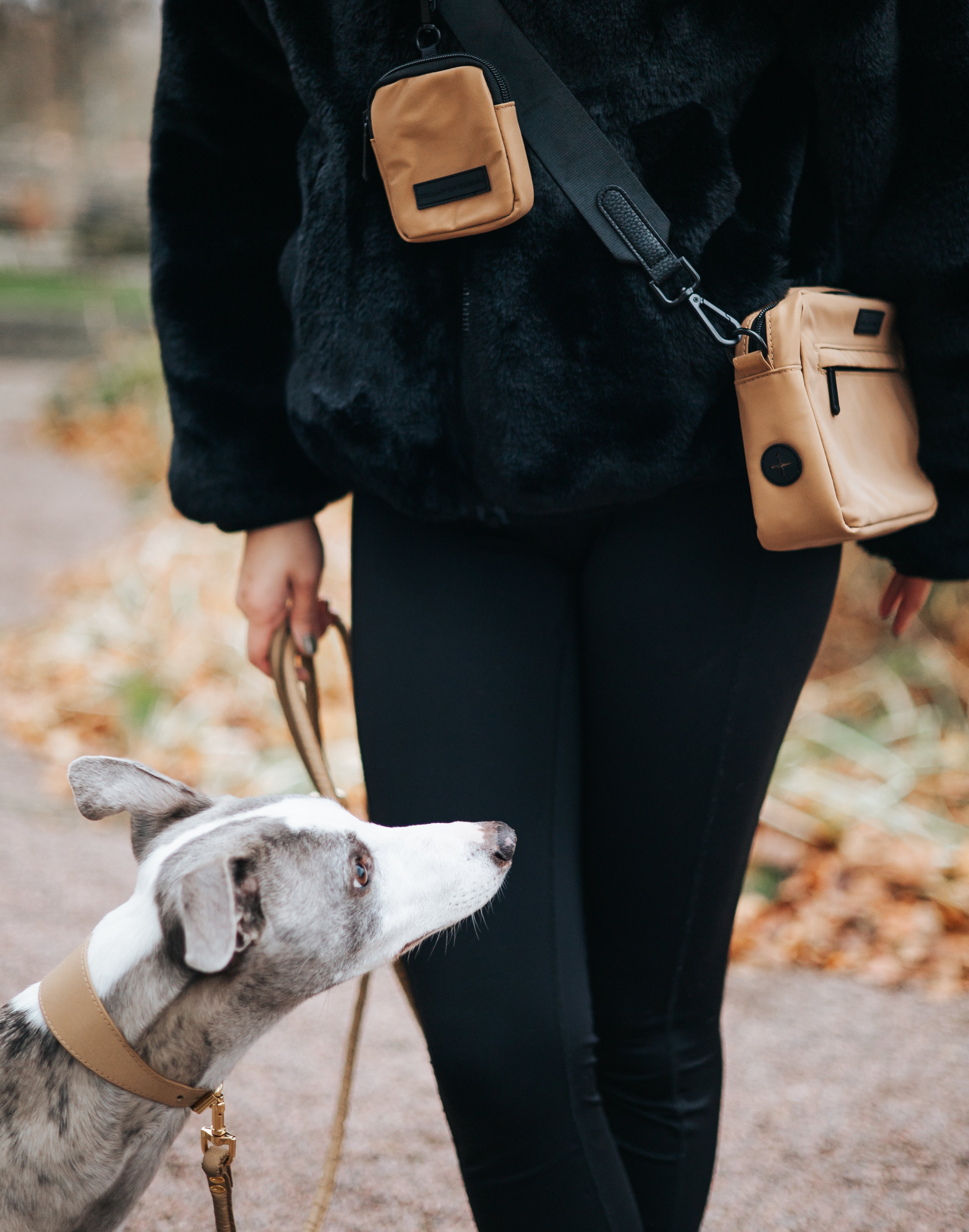 Sac de marche pour chien en bronze réfléchissant - Bandoulière 