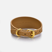 Collier pour chien tressé marron large