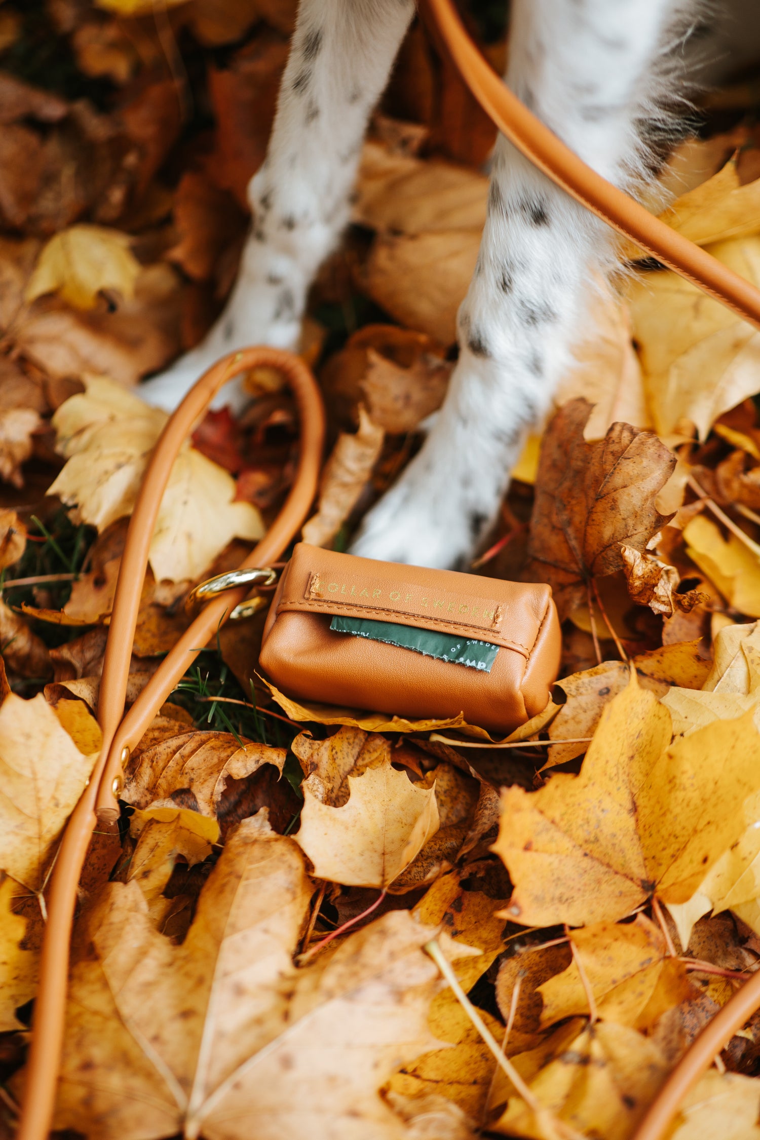 Porte-sac à Crottes Marron