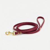 Laisse pour chien bourgogne