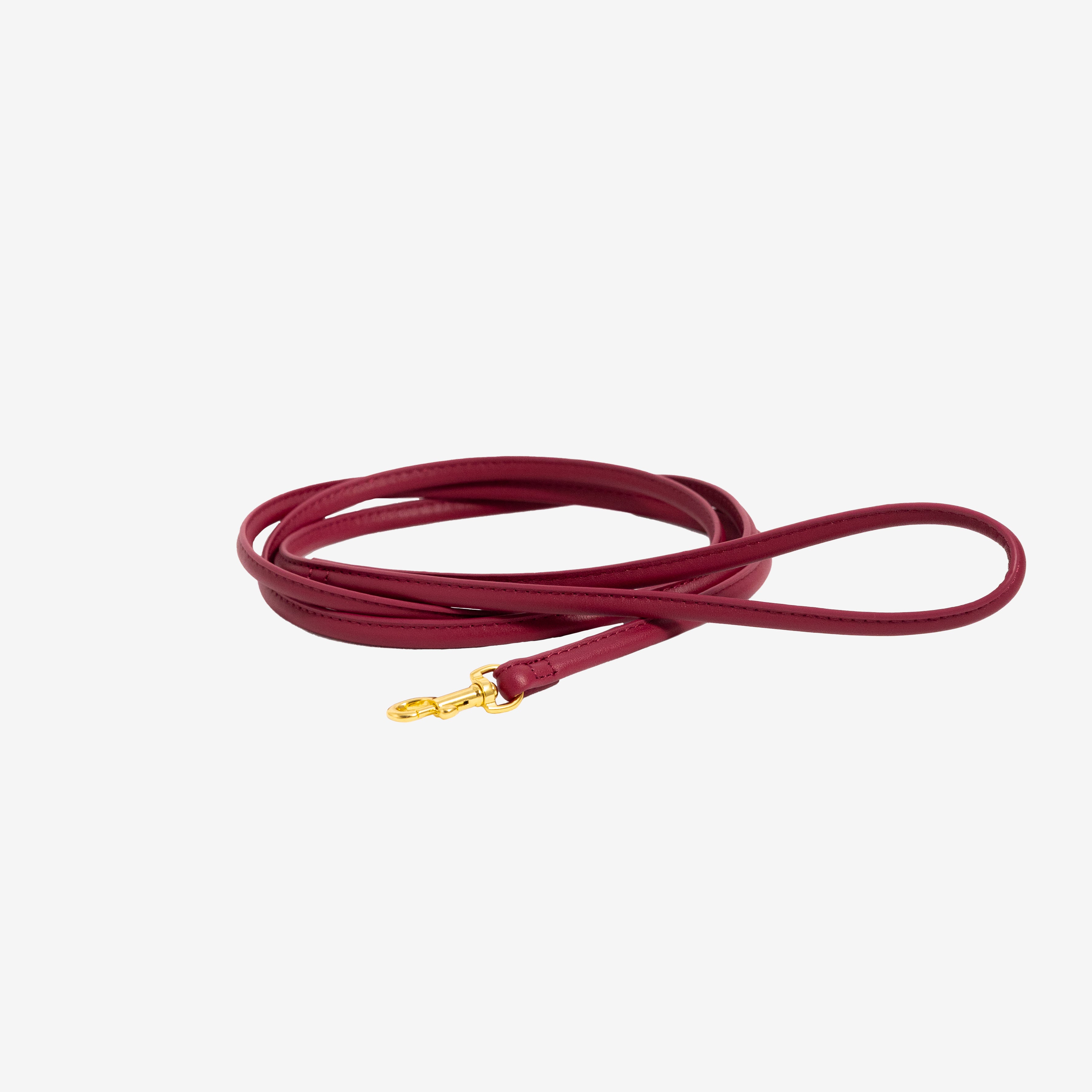 Laisse pour chien bourgogne