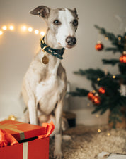 Collier de Noël pour chien large