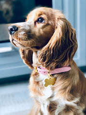 Collier pour chien rose fin