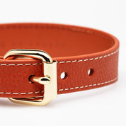 Collier pour chien Cognac fin