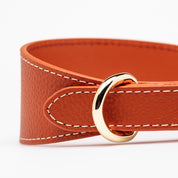 Collier pour chien large Cognac