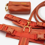 Harnais Y Cognac XS