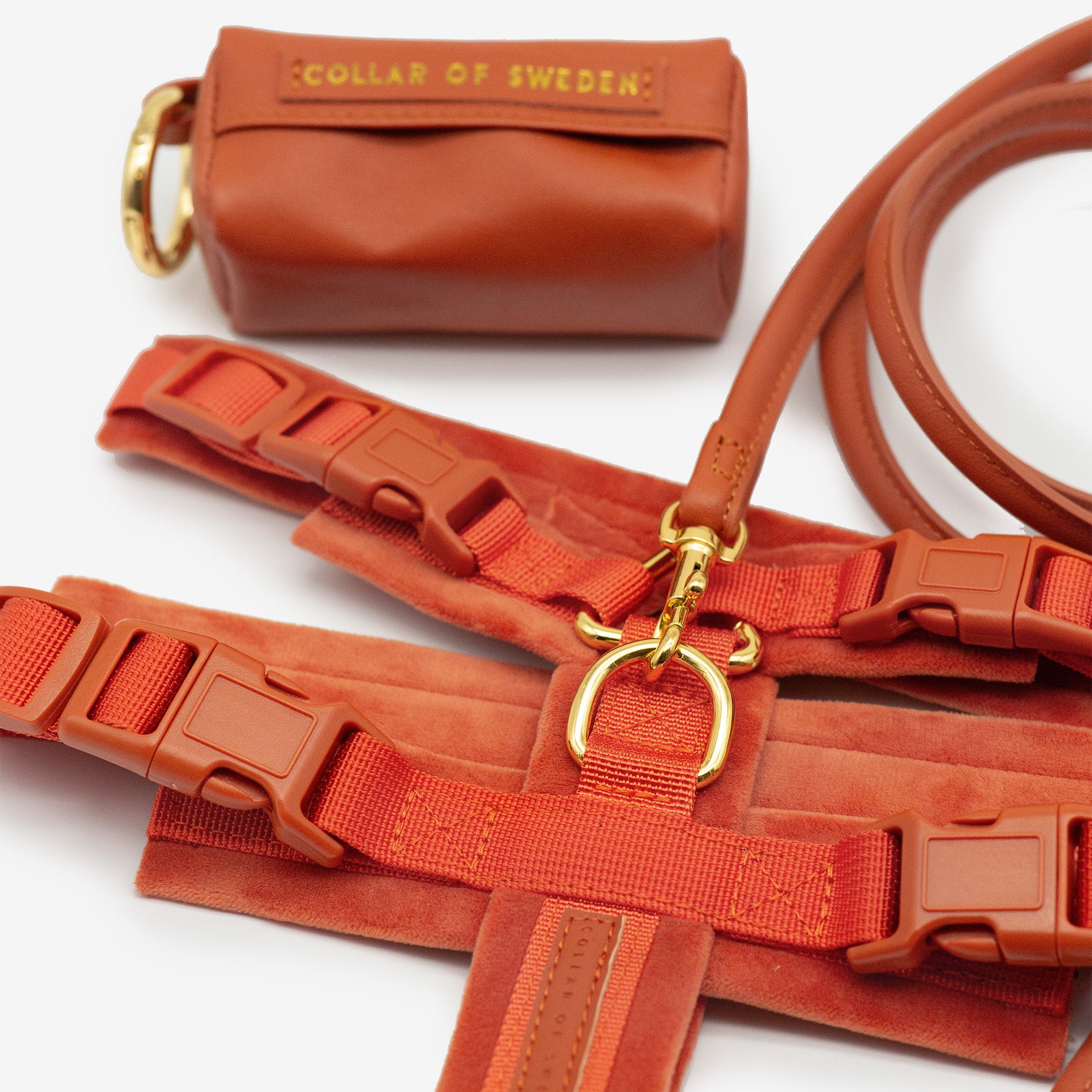 Harnais Y Cognac XS