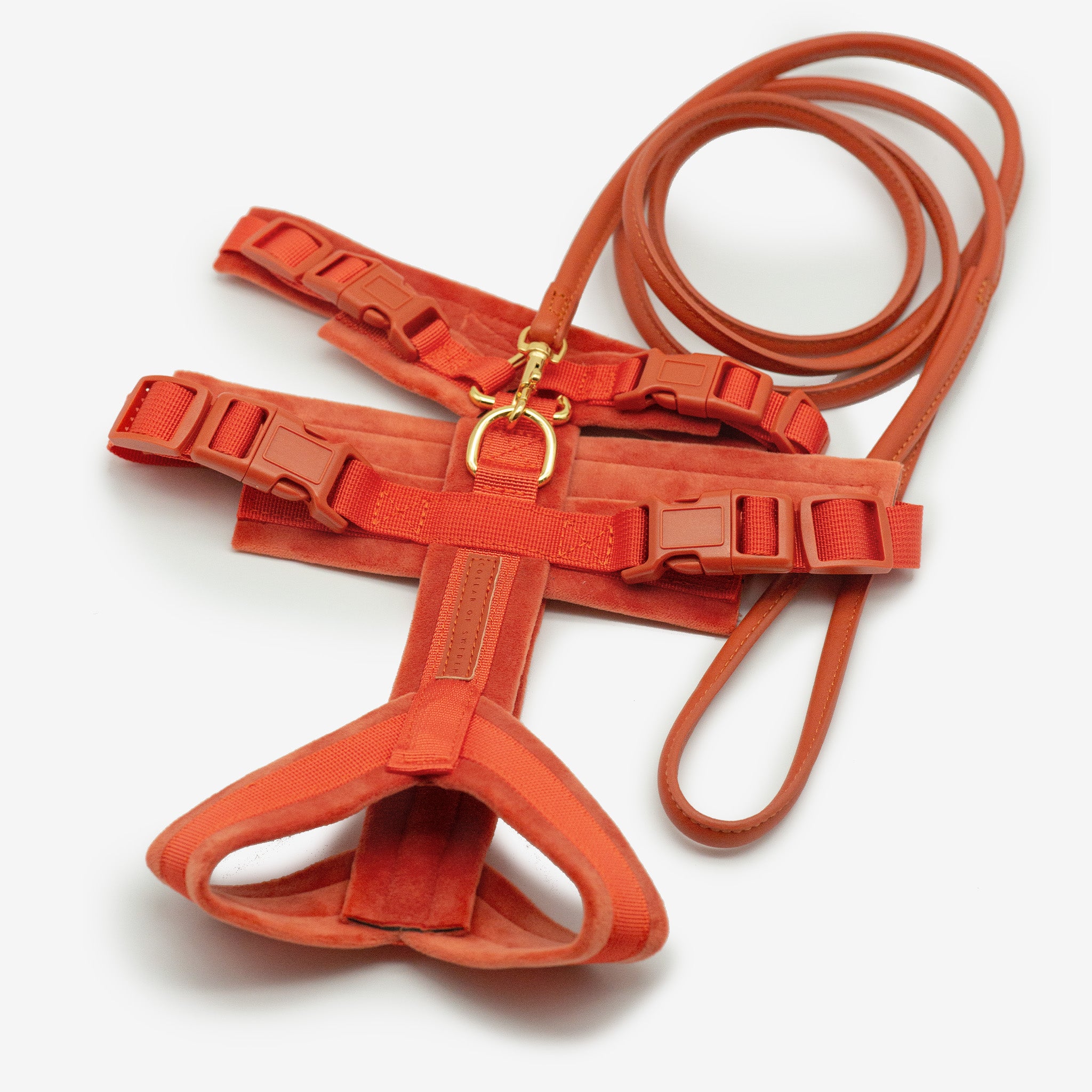Harnais Y Cognac XS