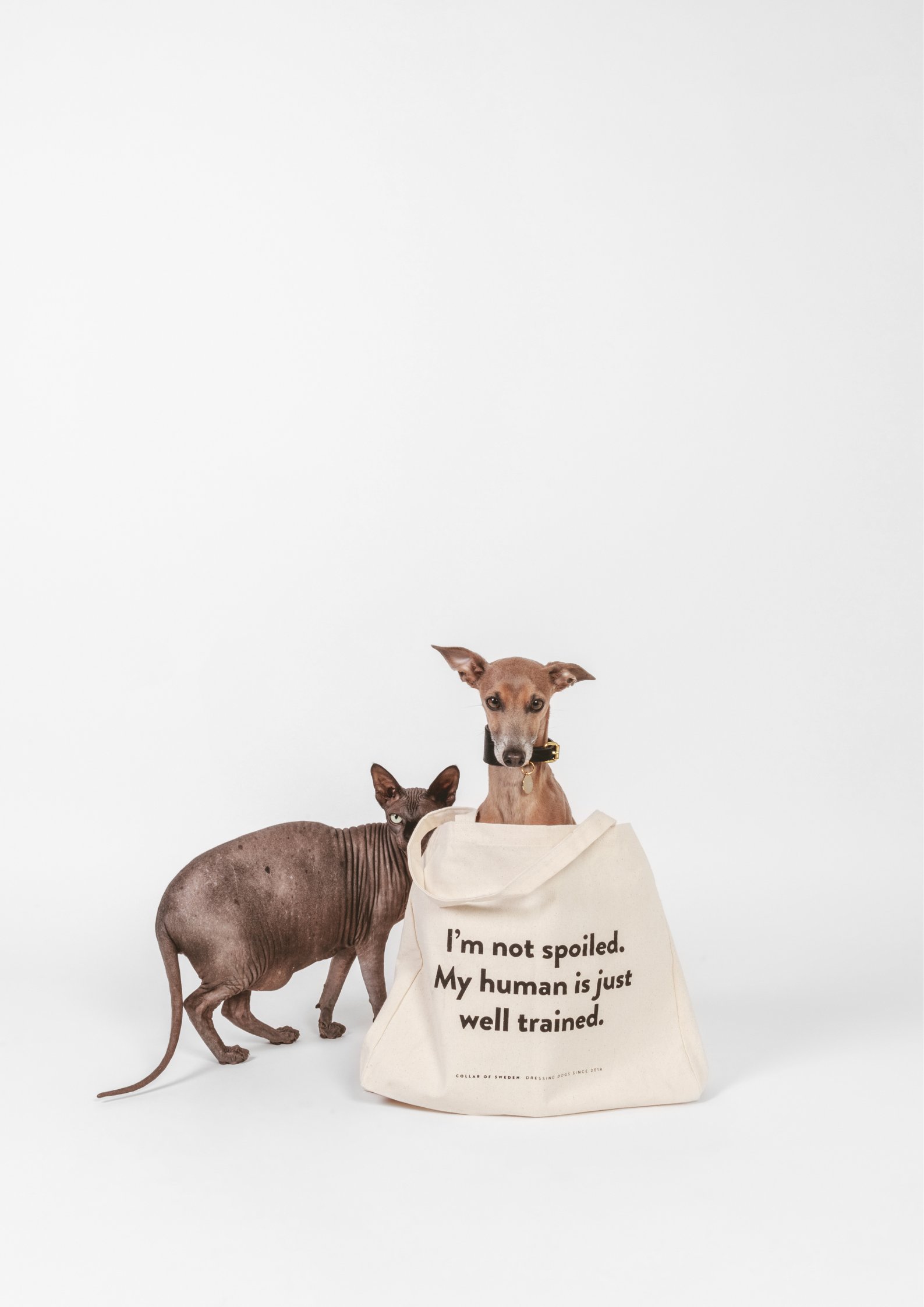 Sac fourre-tout CoS XL