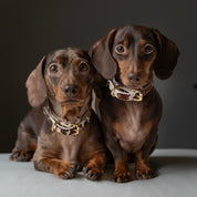 Collier de chien en cuir fin