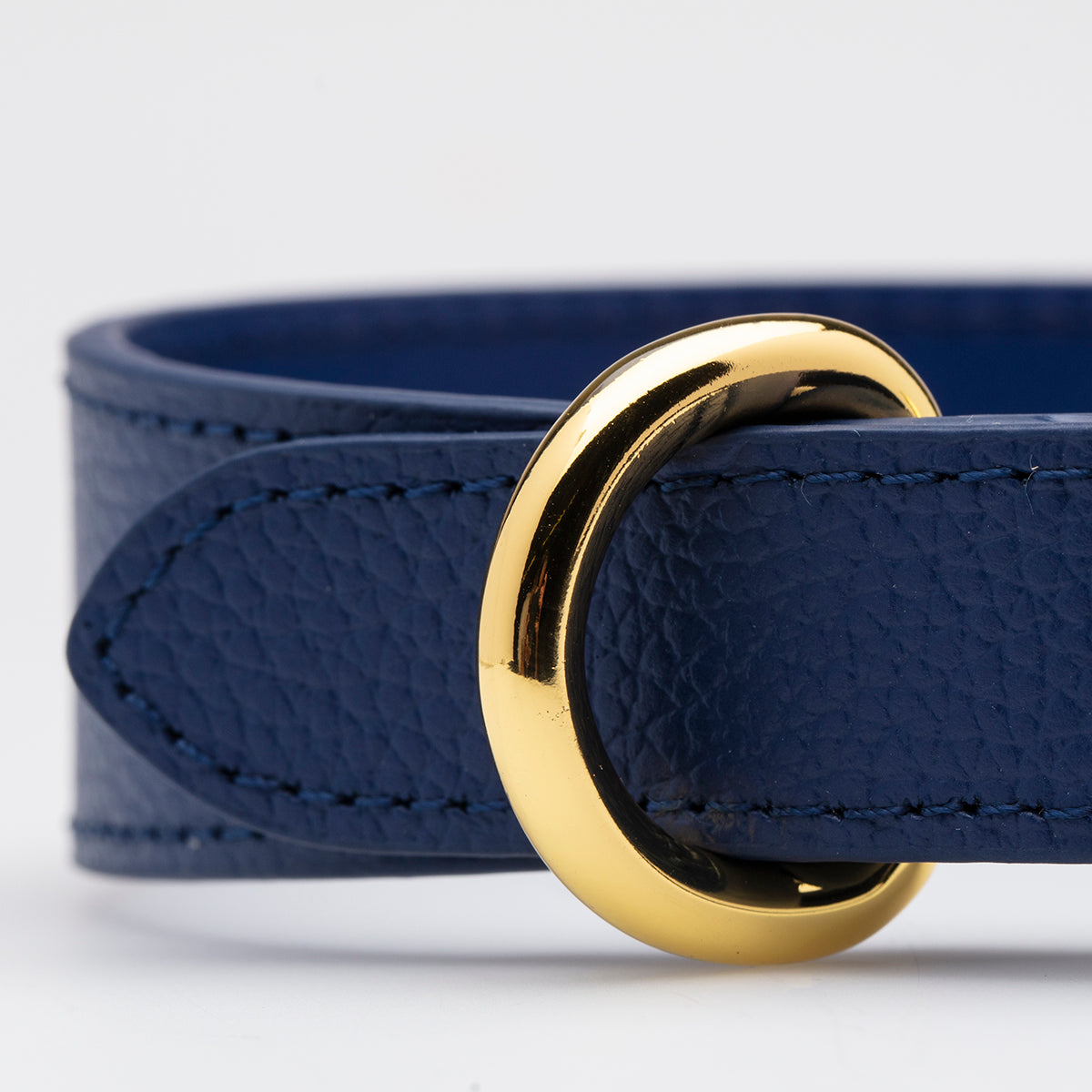 Collier de chien bleu foncé mince