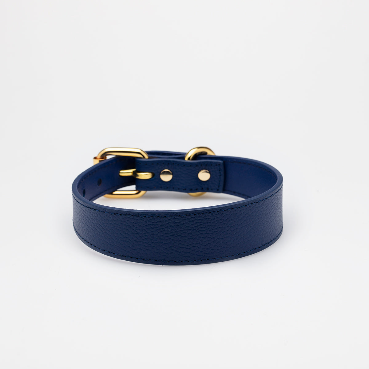 Collier de chien bleu foncé mince