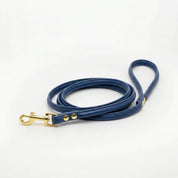 Laisse pour chien bleu foncé