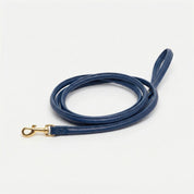 Laisse pour chien bleu foncé