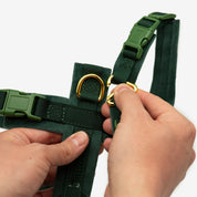 Harnais Y Vert Foncé XS