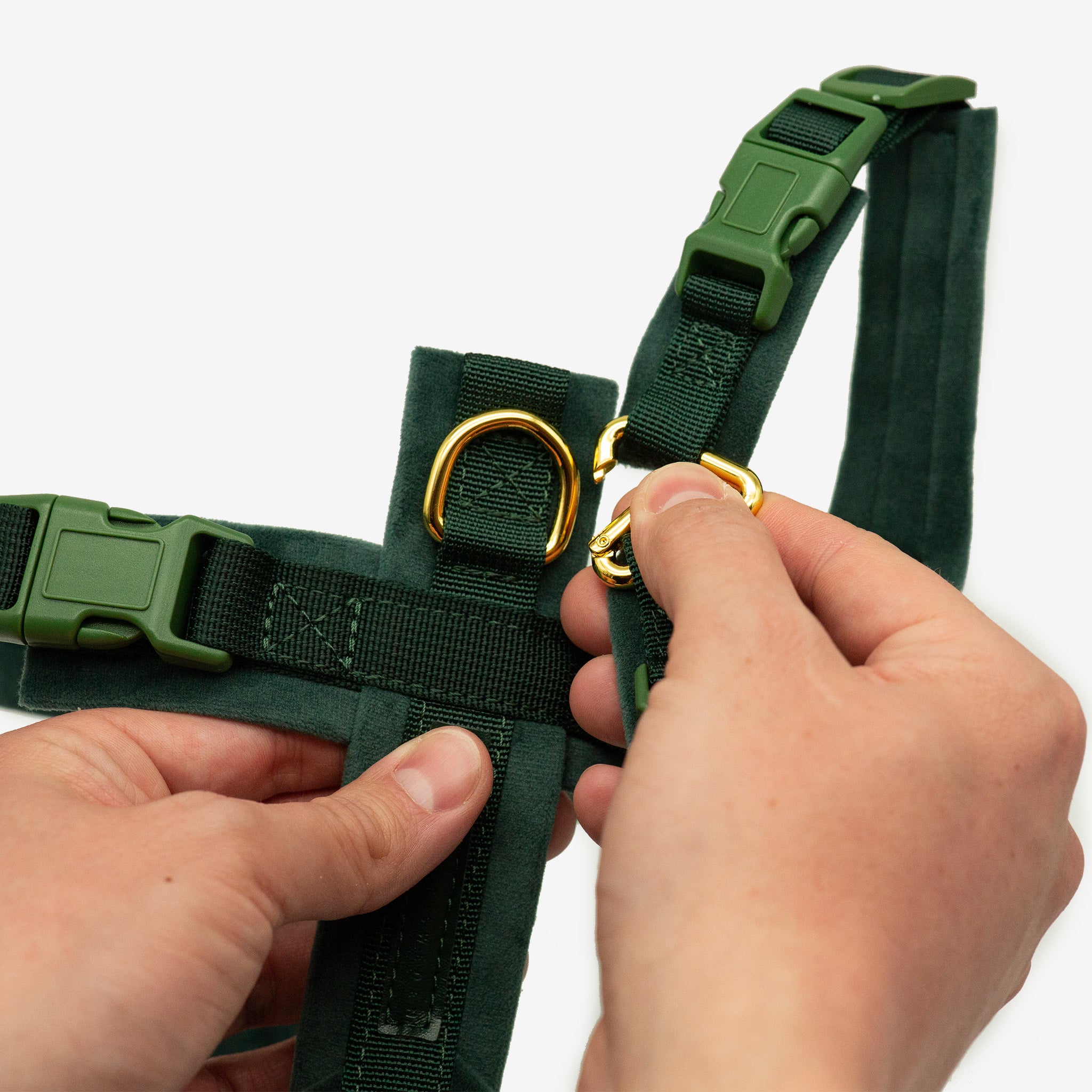 Harnais Y Vert Foncé XS
