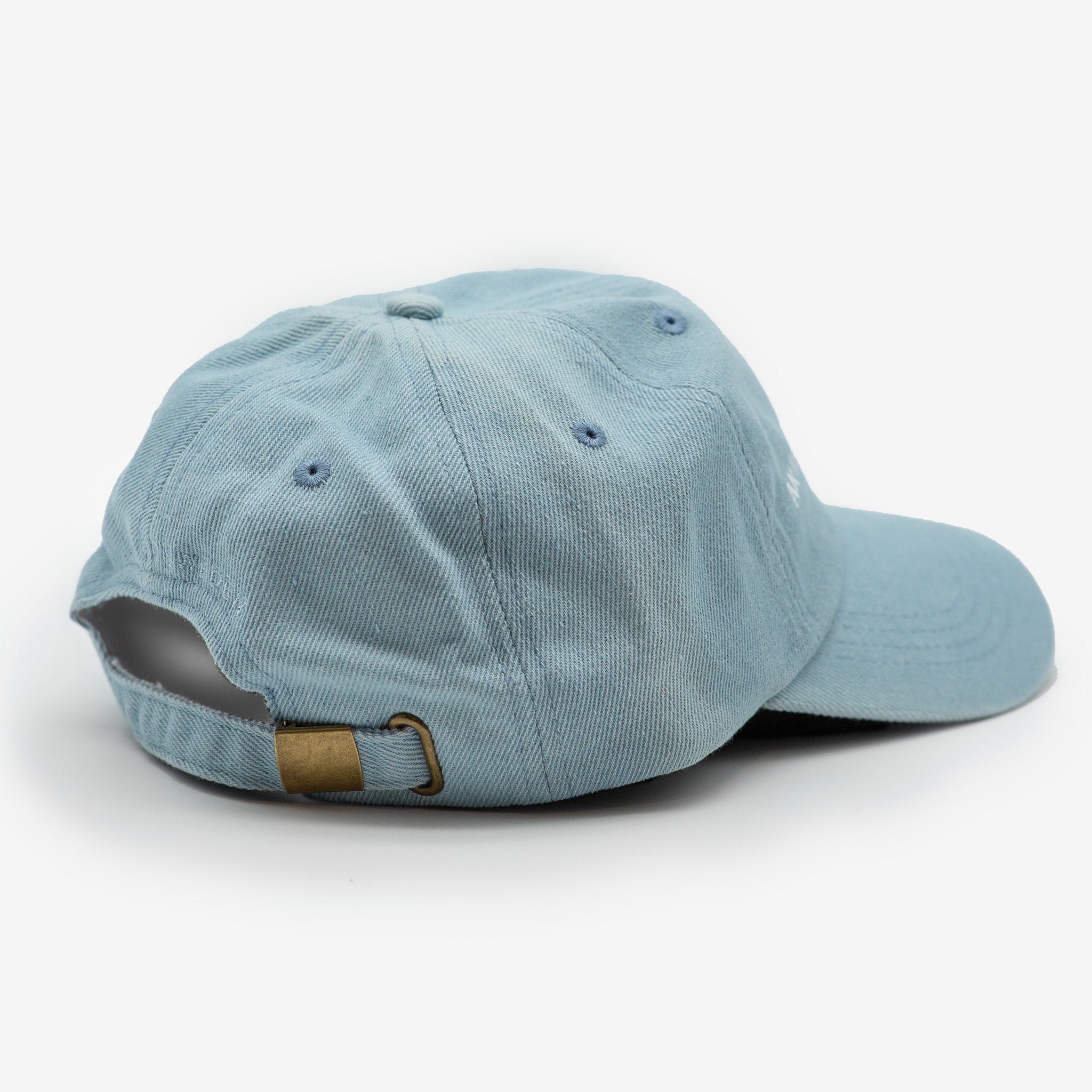 Casquette en jean - Anti-Social Dog Owner