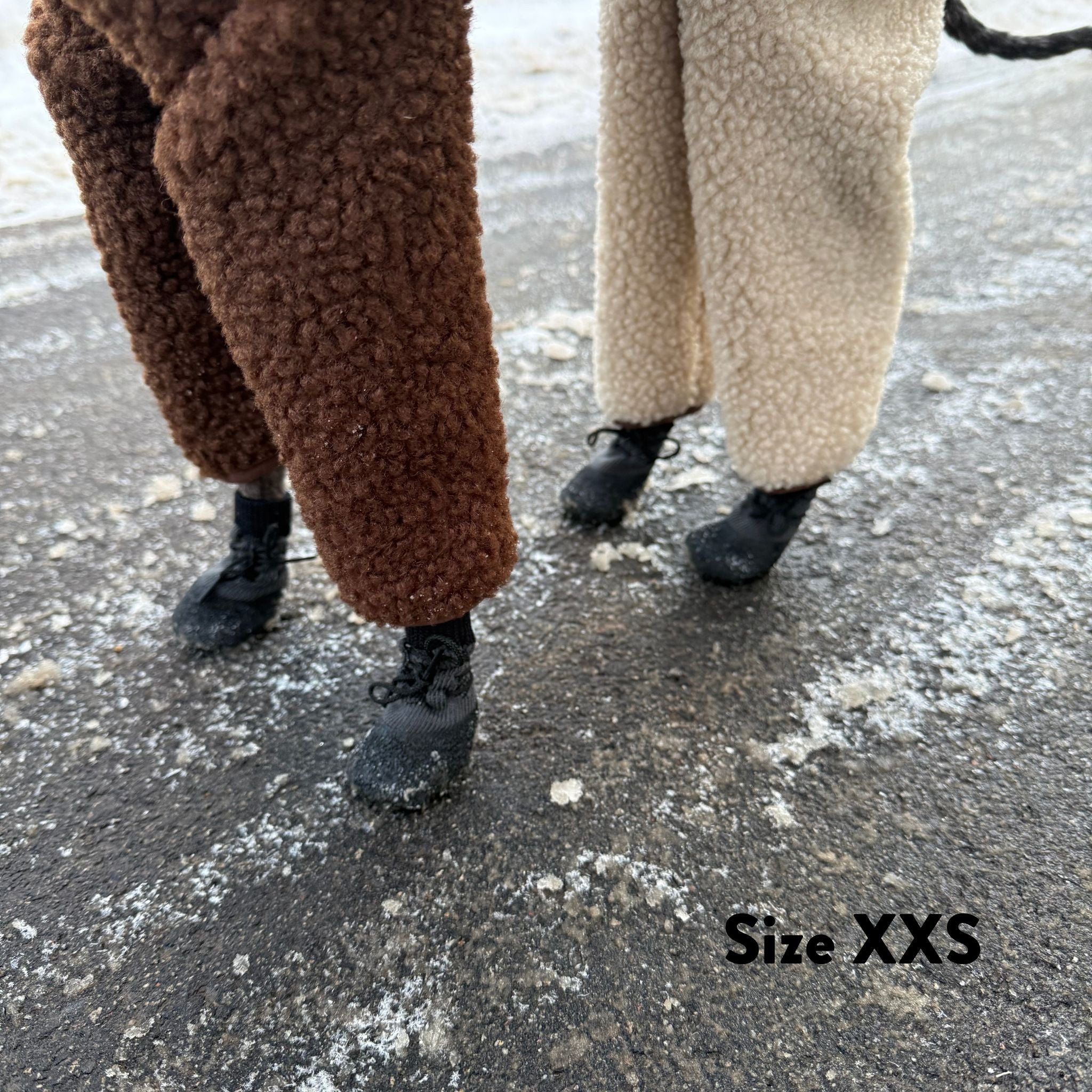 Chaussettes pour chiens - lot de 4