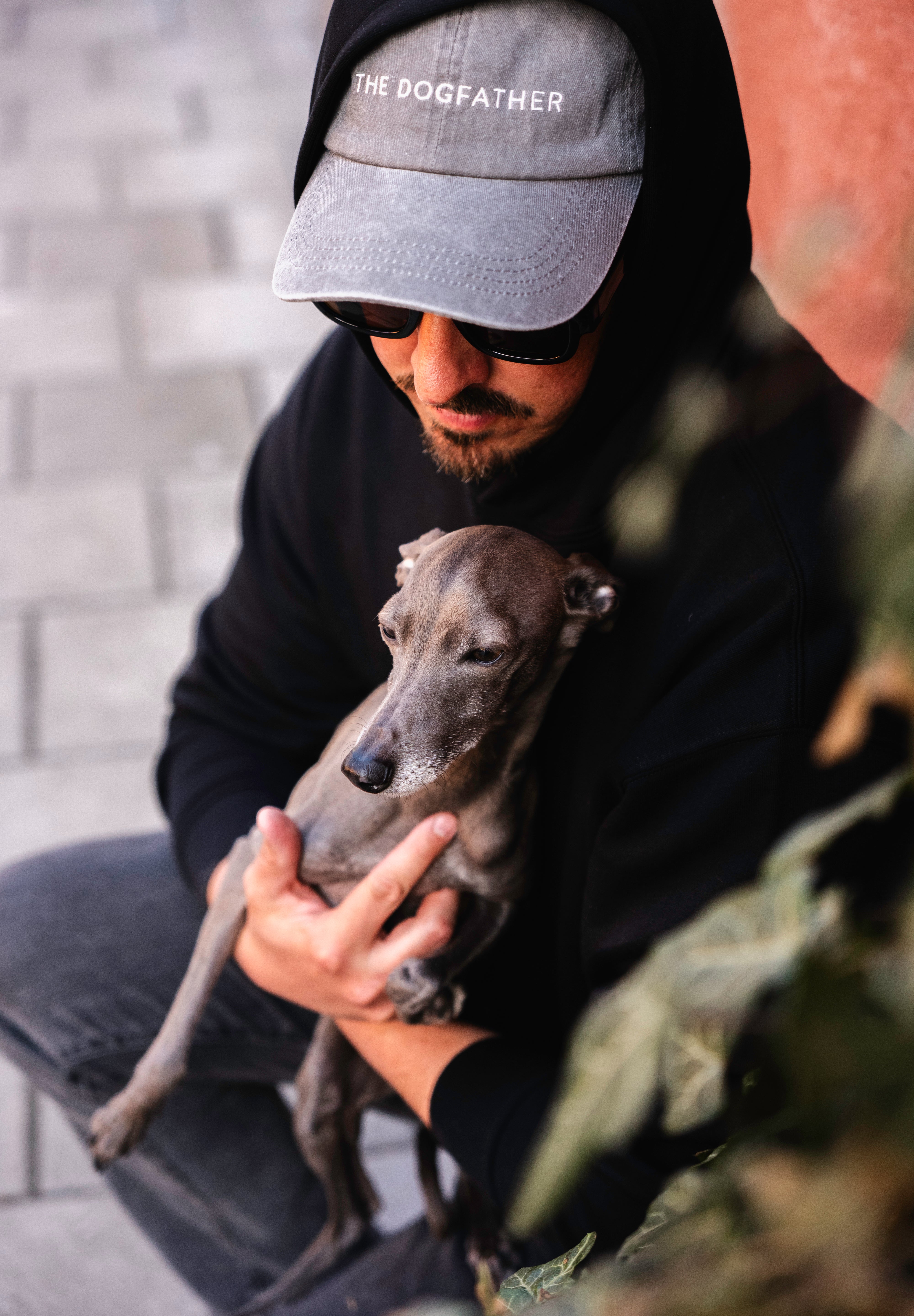 grey-denim-cap-the-dogfather-italian-greyhound.jpg