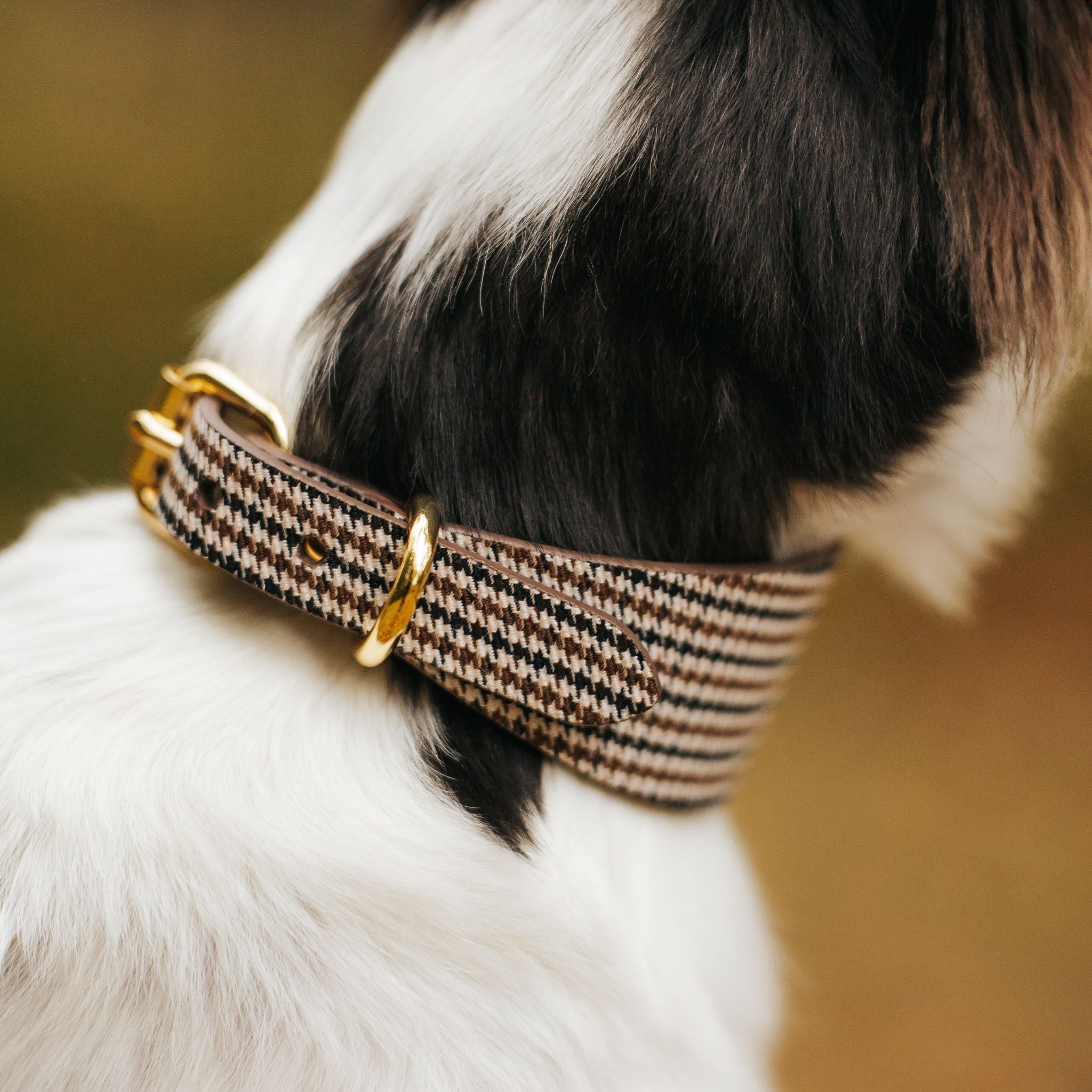 Collier pour chien à carreaux beige large


