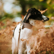 Collier pour chien à carreaux beige large


