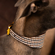 Collier pour chien à carreaux beige large

