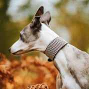 Collier pour chien à carreaux beige large

