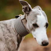 Collier pour chien à carreaux beige large

