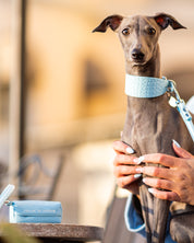 Porte-sac à crottes bleu clair pour chiens