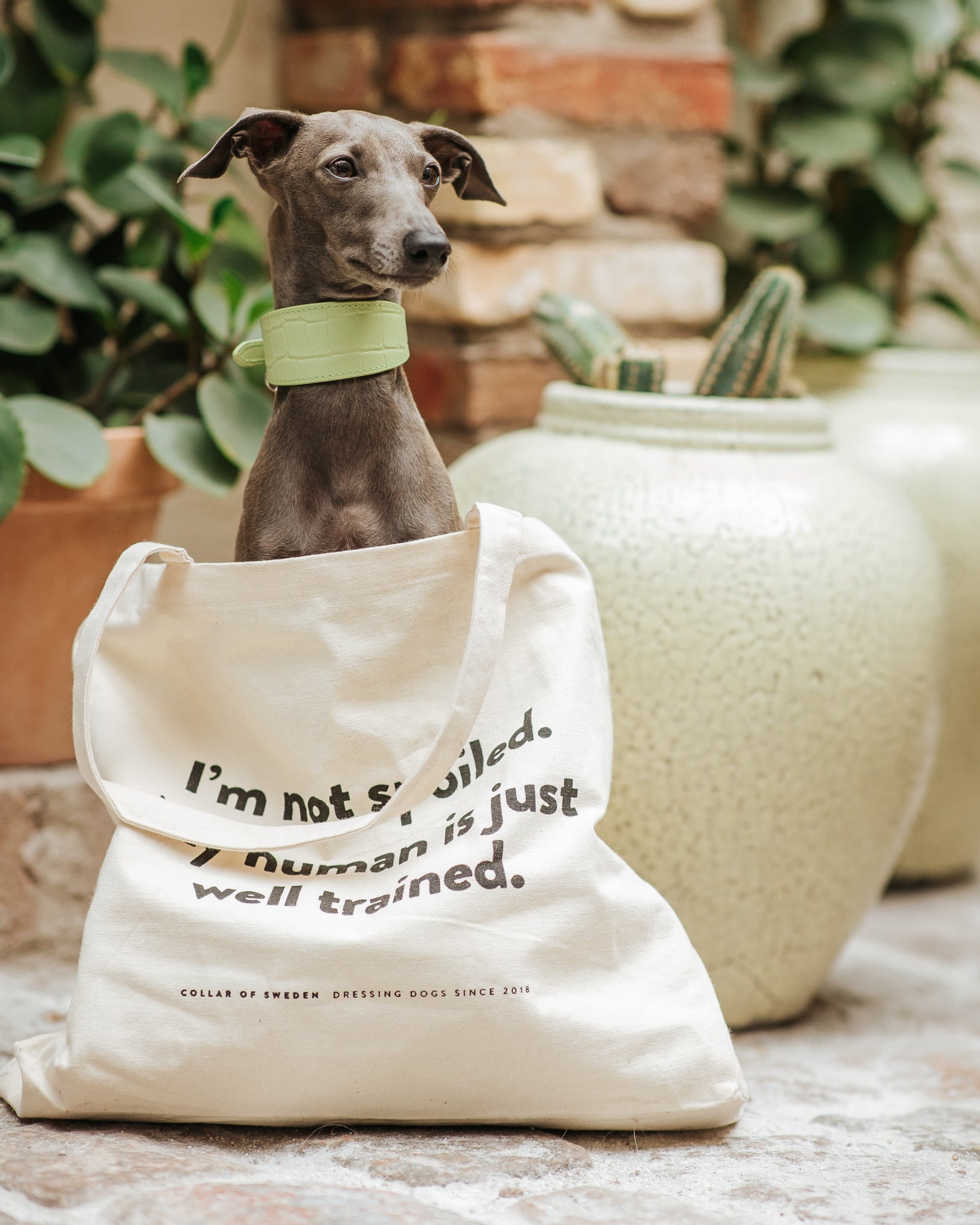 Sac fourre-tout CoS