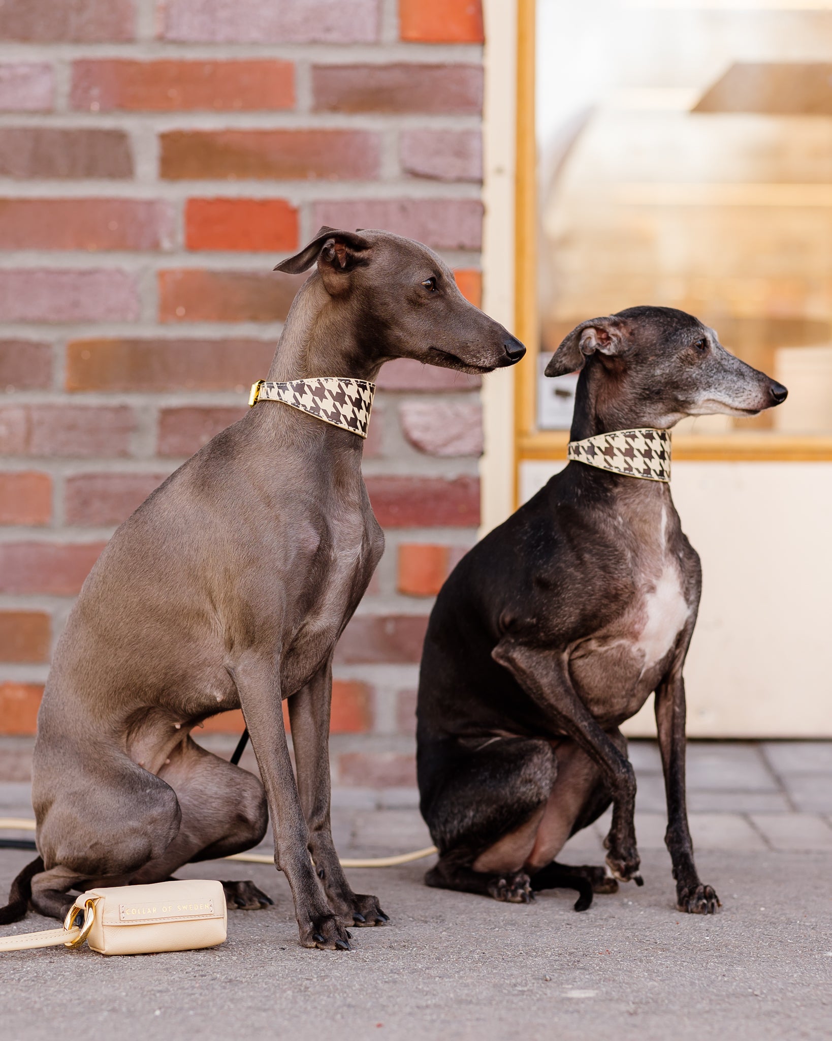 Collier pour chien à carreaux beige large


