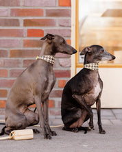 Collier pour chien à carreaux beige large

