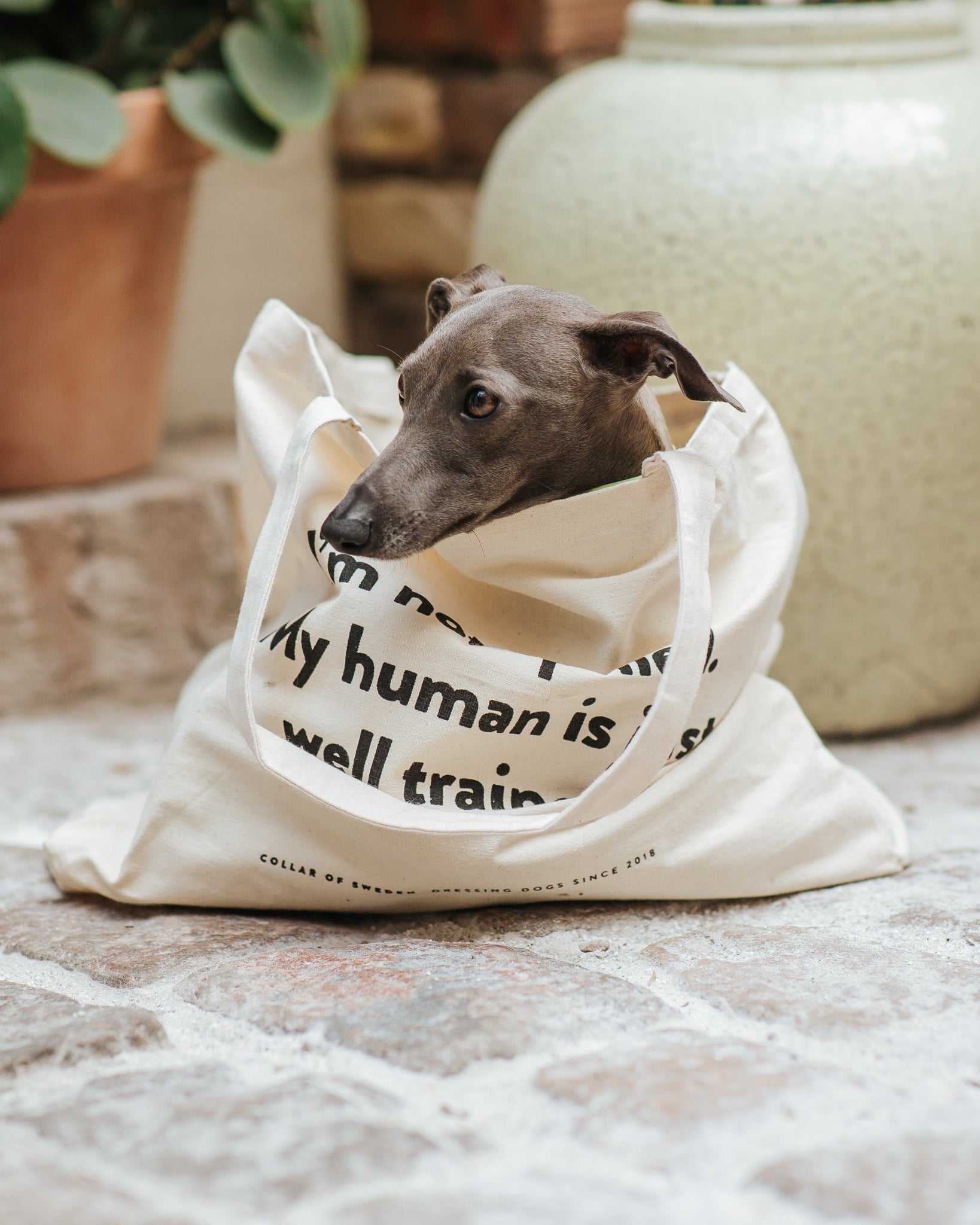 Sac fourre-tout CoS