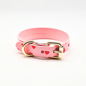Collier de chien Love fin
