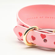 Collier pour chien Love Wide