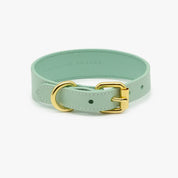Collier pour chien mince à la menthe 